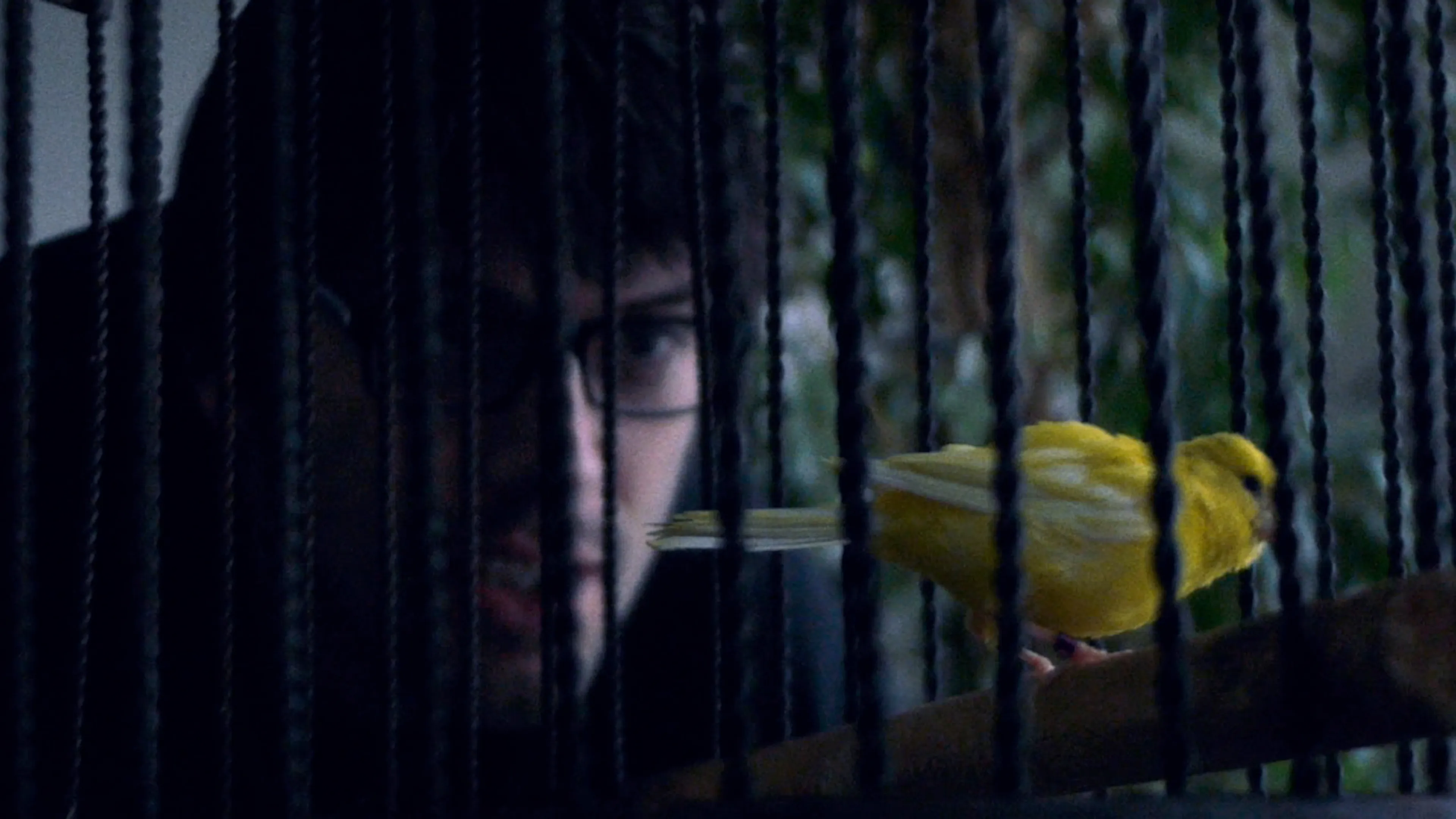 Little Yellow Bird poster